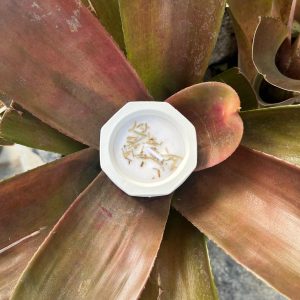 lilin aromaterapi orange fresh