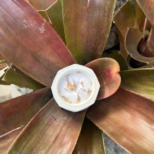 lilin aromaterapi rose x vanilla