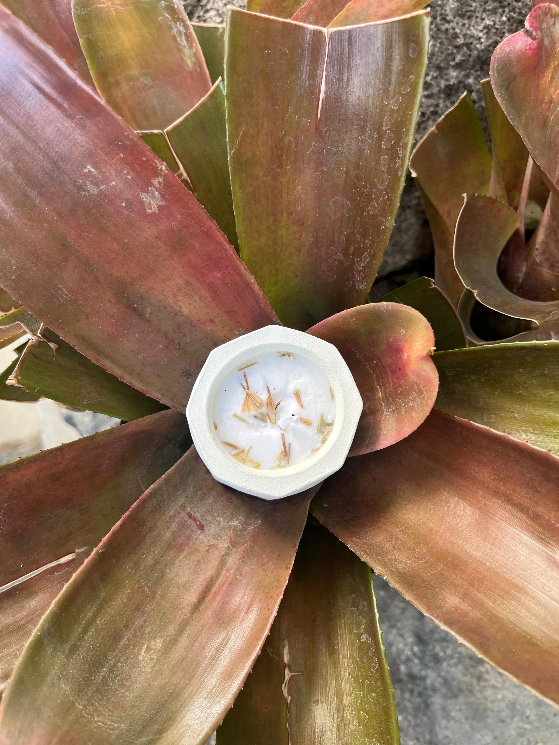 lilin aromaterapi rose x vanilla