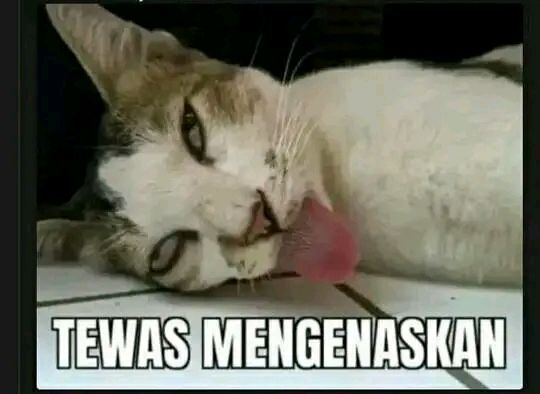 0710e1f196d63b795dde573d226ef183